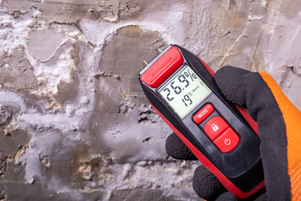 Professional Mold Remediation in Floydada, TX