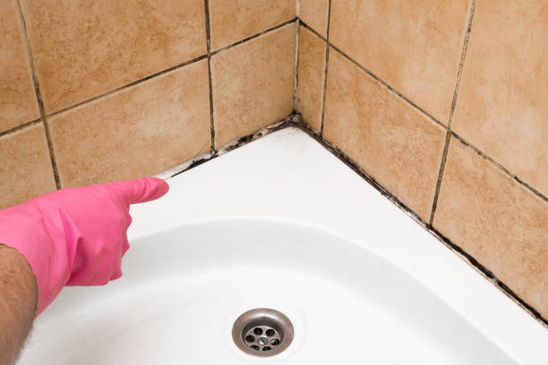 Best Residential Mold Remediation in Floydada, TX
